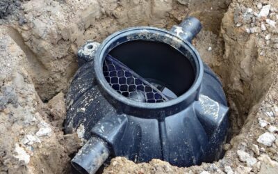 What is the Best Septic Tank Treatment? Discover 5 Powerful Solutions on Amazon for a Healthier System