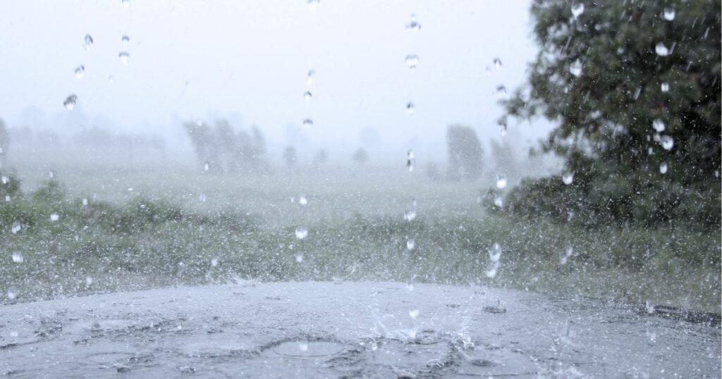 flooded drain field